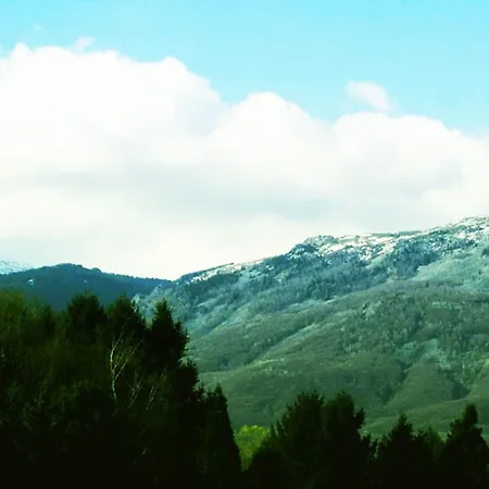 Crowne Plaza By Ihg Hotel 5*